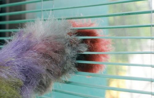 Как помыть алюминиевые жалюзи дешево и быстро. Как помыть алюминиевые жалюзи 12