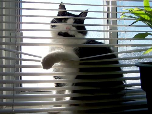 Как разобрать жалюзи горизонтальные. Ремонт горизонтальных жалюзи своими руками