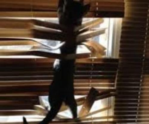 Как удлинить горизонтальные жалюзи. Контактный телефон 214-07-71