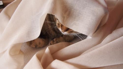 Римские шторы на липучке своими руками. Римская штора своими руками