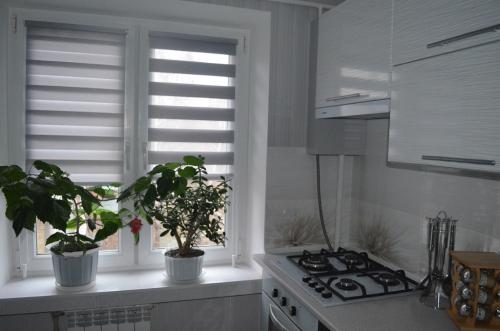 Вертикальные жалюзи для кухни. Плюсы и минусы жалюзи на кухне