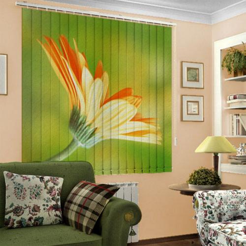 Вертикальные жалюзи с рисунком. Вертикальные жалюзи с фотопечатью — оригинальное решение в интерьере